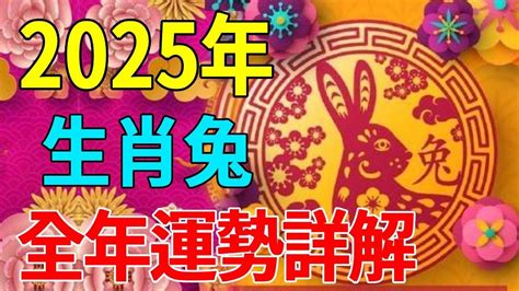 屬兔 2024|2024生肖兔整年運勢一次看！多注意健康、主動做一。